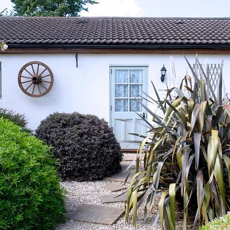 Ashton Cottages Cheddar Eksteriør bilde