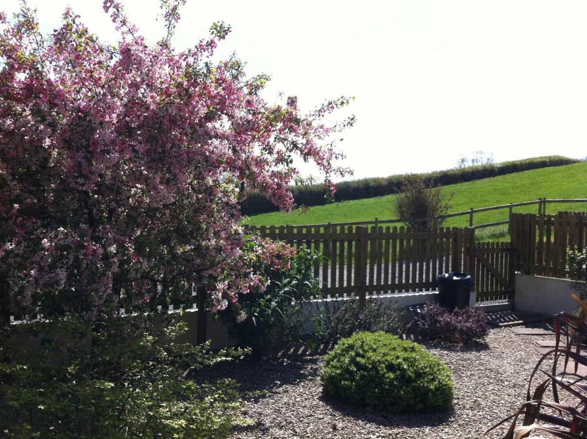 Ashton Cottages Cheddar Eksteriør bilde