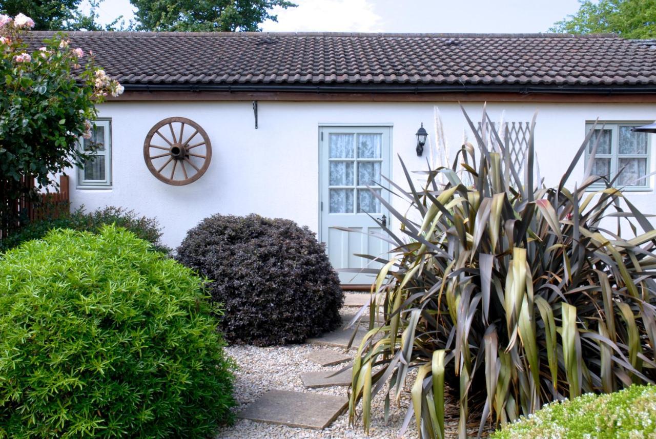 Ashton Cottages Cheddar Eksteriør bilde